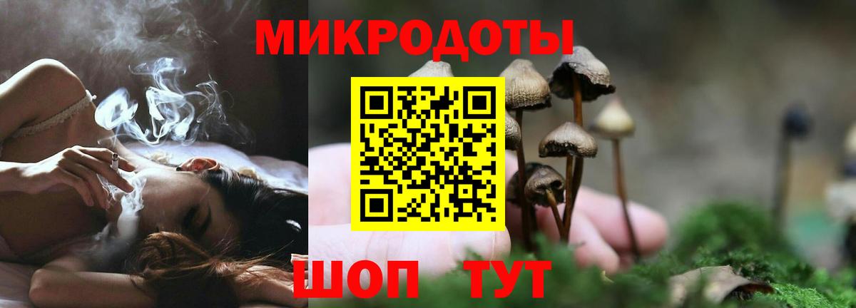 Псилоцибиновые грибы MAGIC MUSHROOMS Рыбинск